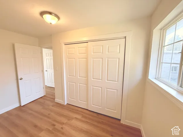 Wood-finish flooring with white trim, a flush mount ceiling light, and white paneled doors