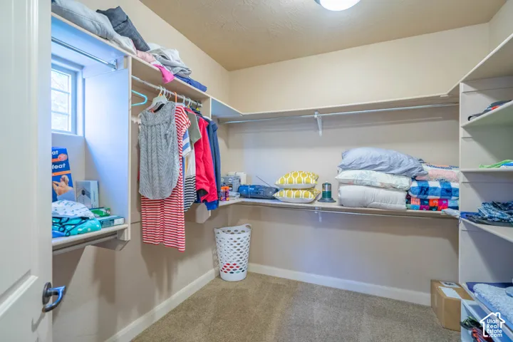 Recessed window, built-in shelving, integrated hanging rods, flush mount lighting, and neutral carpeting