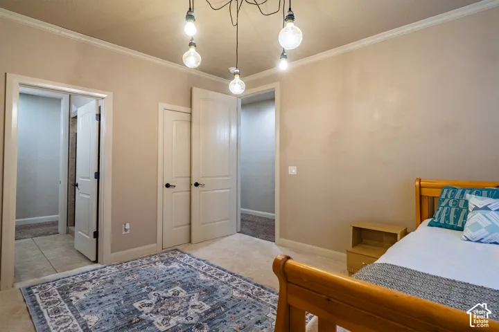 Recessed lighting with suspended bulbs, neutral wall finishes, crown molding, white doors with dark hardware, and carpet flooring