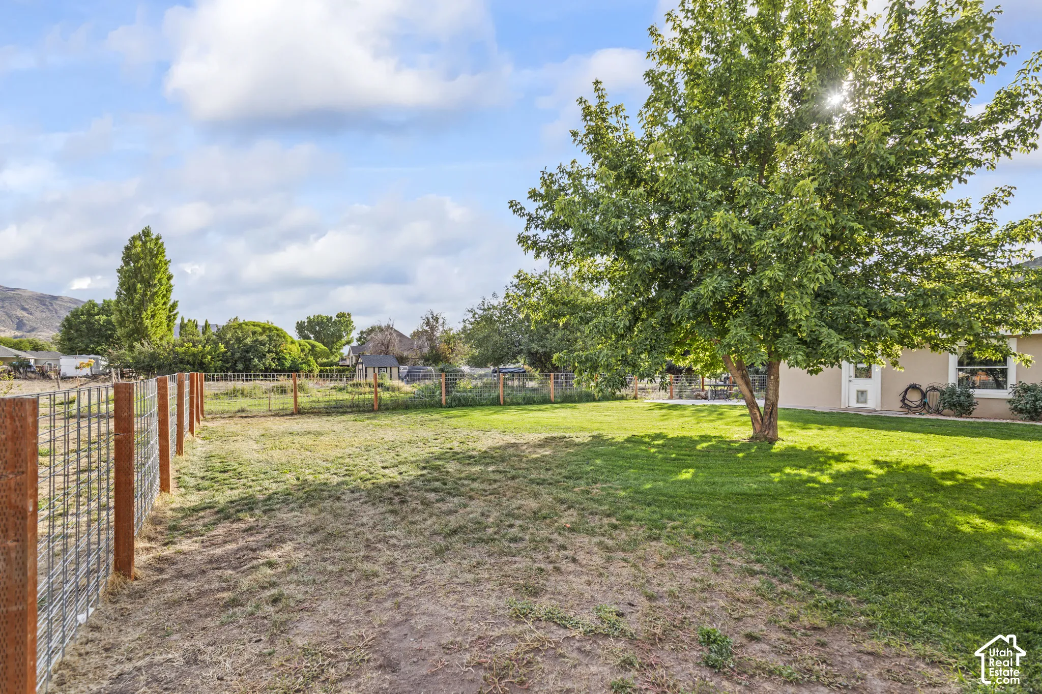Expansive backyard with a manicured lawn, mature tree, and perimeter fencing