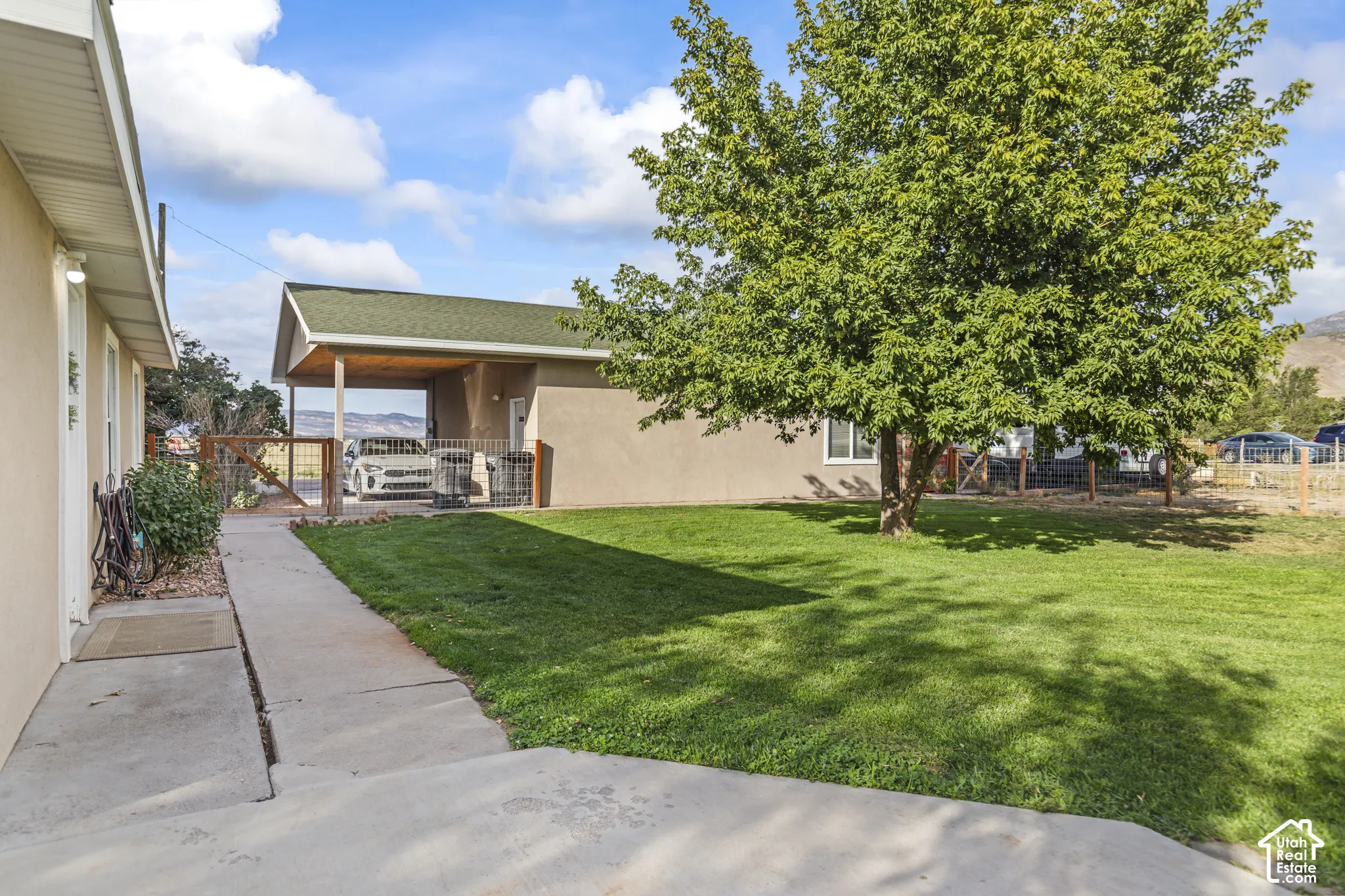 Spacious lawn with a mature shade tree, concrete walkway, and covered carport
