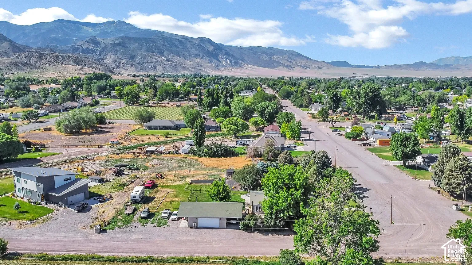 Expansive mountainous backdrop framing a residential area with mature trees and varied architectural styles