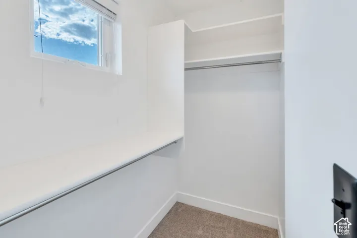 Built-in closet shelving with hanging rod, window, and carpet flooring