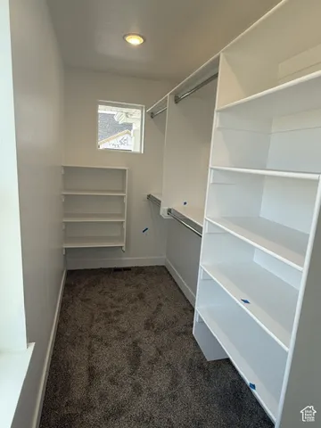 Built-in shelving, hanging rods, recessed lighting, window, and carpet flooring