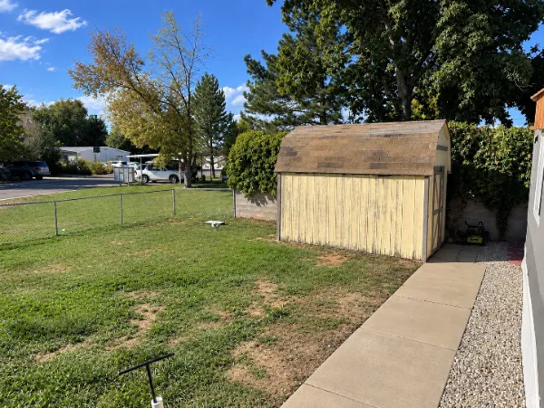 Spacious yard with a chain-link fence, mature trees, and a freestanding shed with a gambrel roof