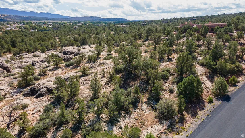 Expansive lot featuring mature trees, natural rock formations, and a paved road