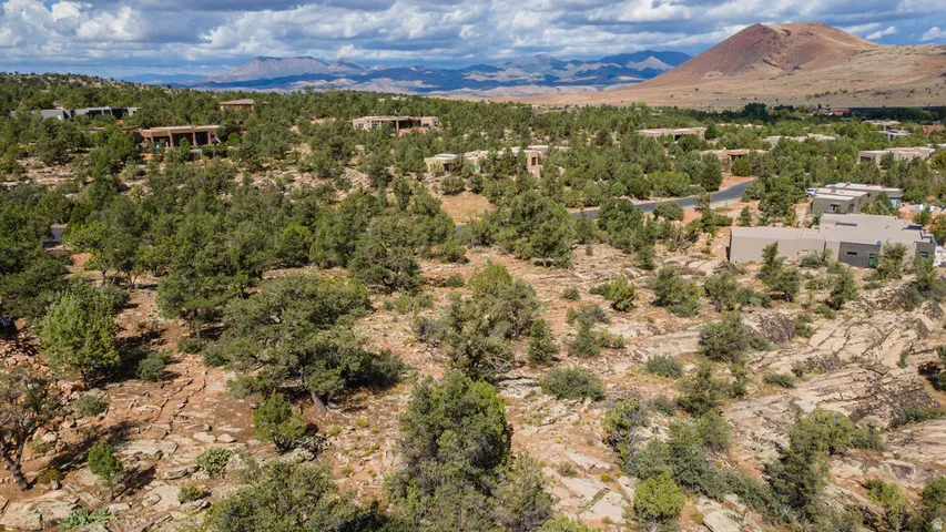 Expansive desert landscape featuring numerous natural trees and shrubs
