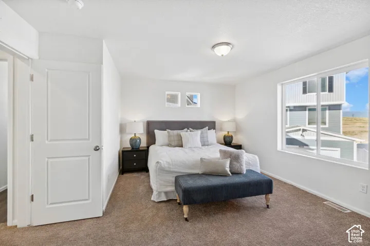 Carpeted flooring, white interior walls, white paneled door, and a flush-mount ceiling light fixture