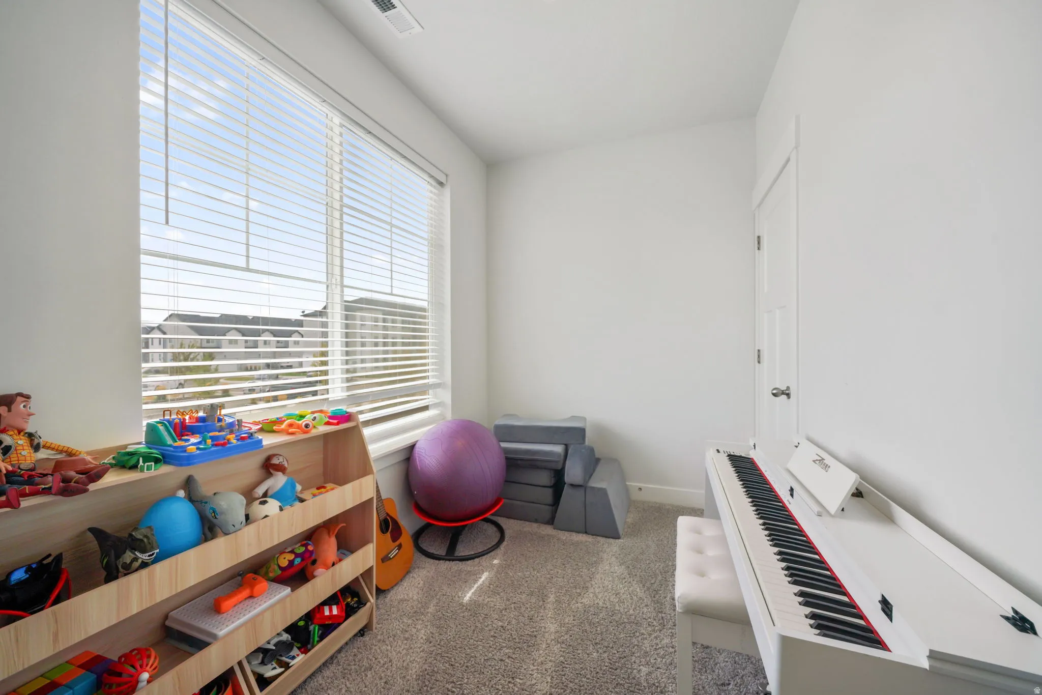 Carpeted room with a large window, horizontal blinds, and a paneled door