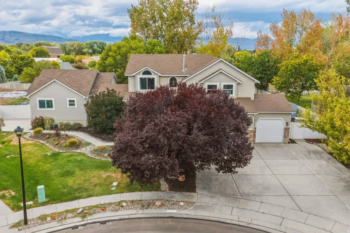 Stucco exterior with a peaked roofline, attached garage, concrete driveway, and landscaped front yard