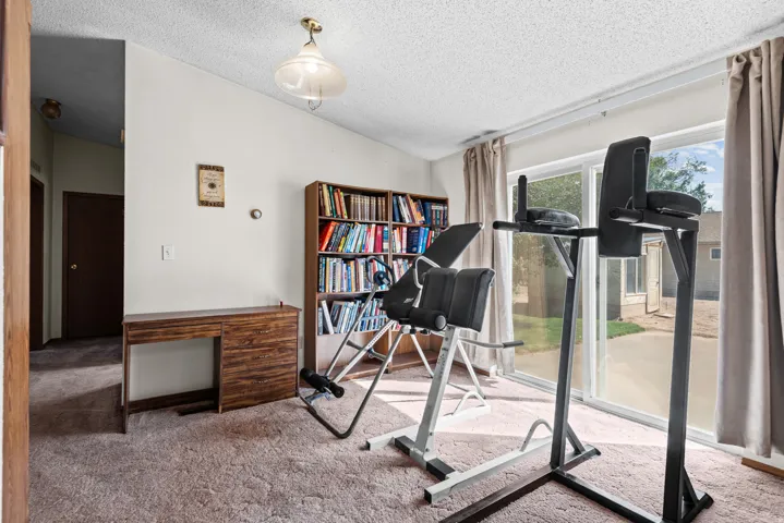 Sliding glass door, wall-to-wall carpeting, overhead lighting, wood-finish built-in shelving, wood-finish desk