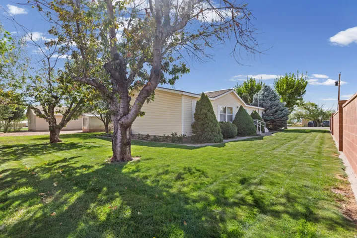 Expansive green lawn with mature trees and established landscaping