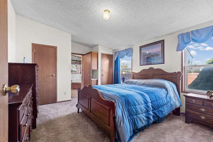 Carpeted flooring, vaulted ceiling, built-in cabinetry, and wood-finish doors