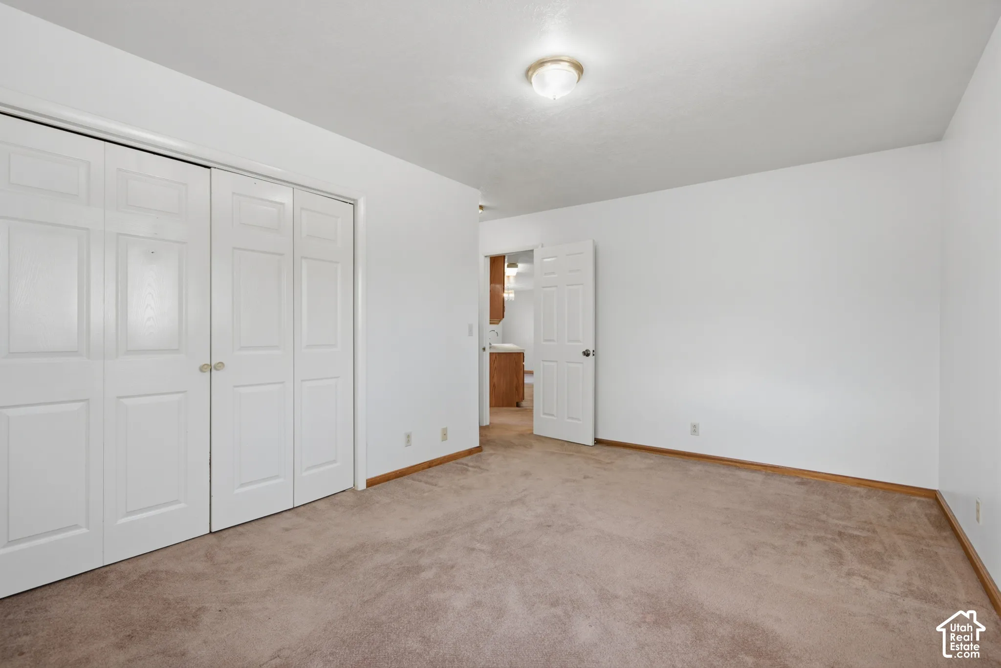Neutral wall paint, carpeted flooring, and a flush mount ceiling light