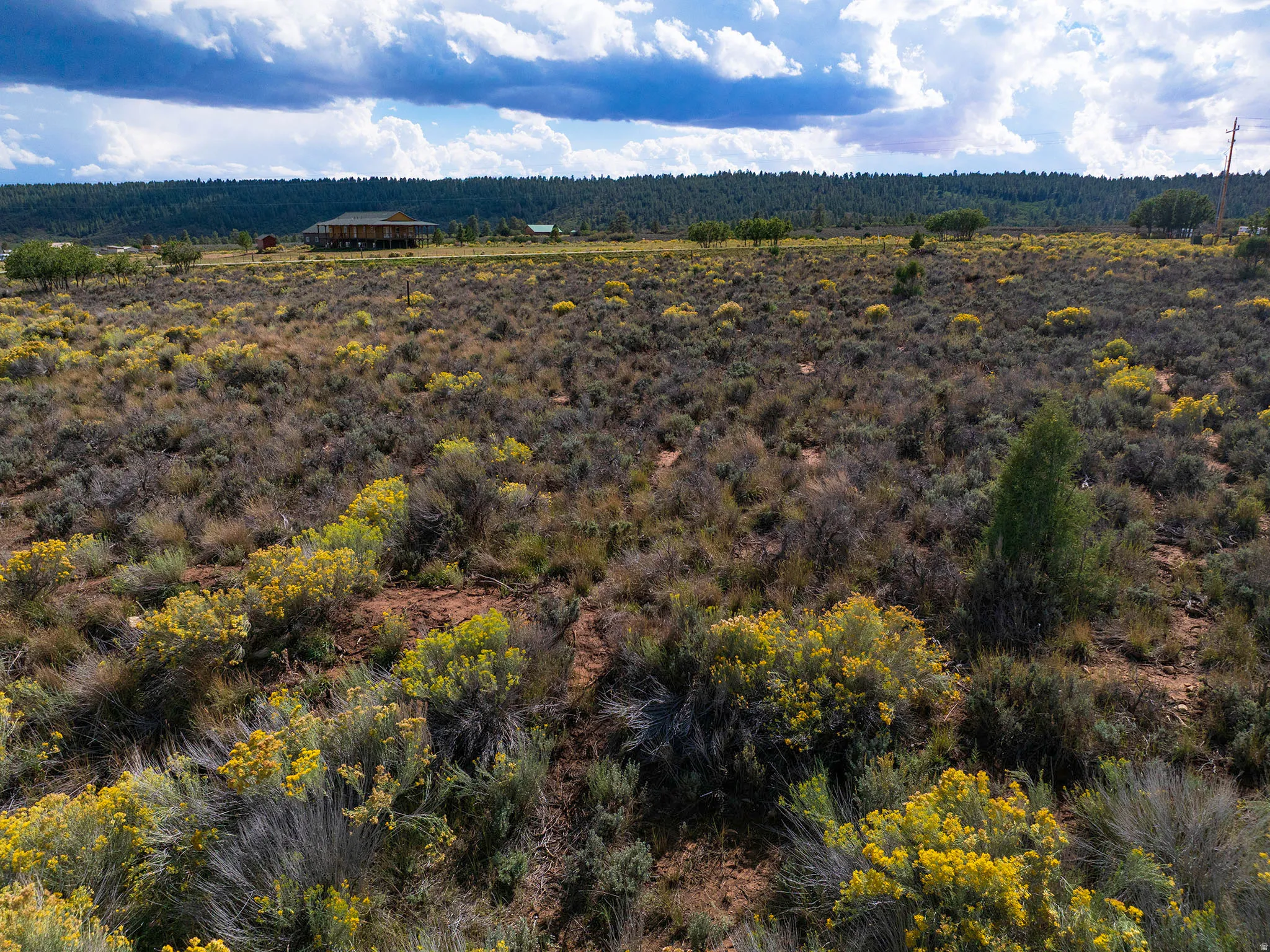 Expansive natural landscape featuring varied low-lying vegetation