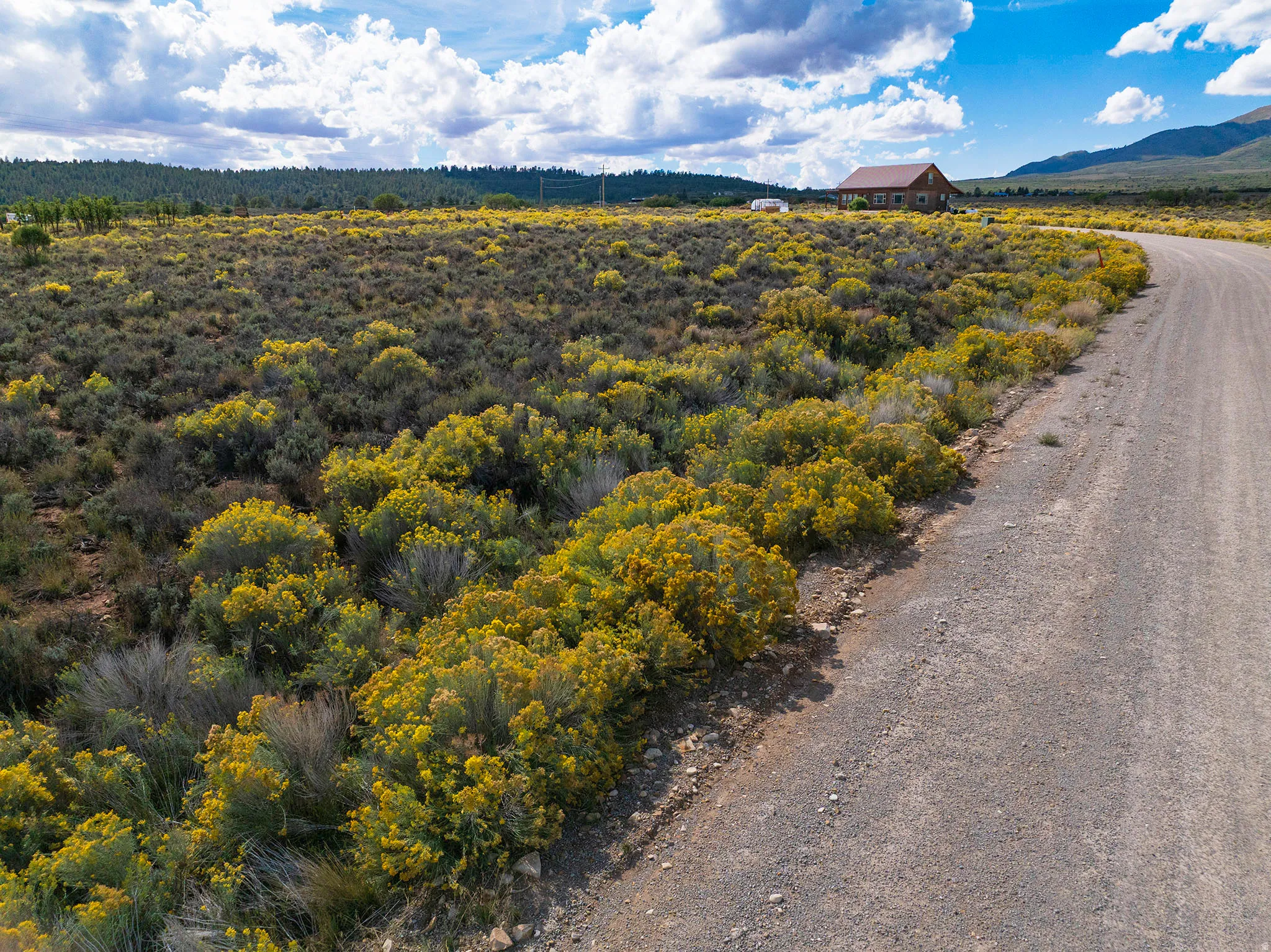Expansive natural landscape with varied shrubbery, a distant residential structure, and a winding gravel road