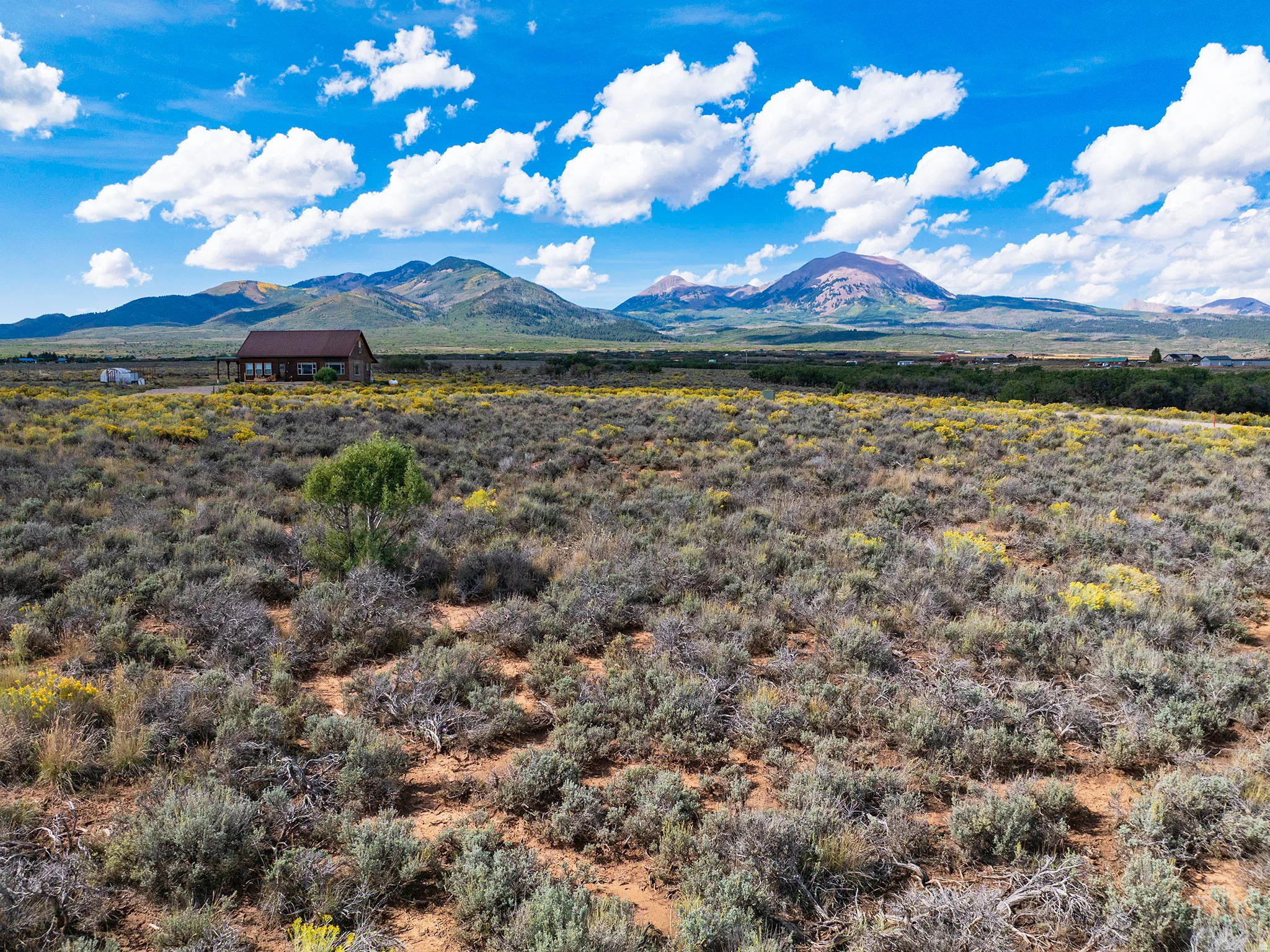 Expansive landscape featuring diverse shrubbery and distant mountain ranges