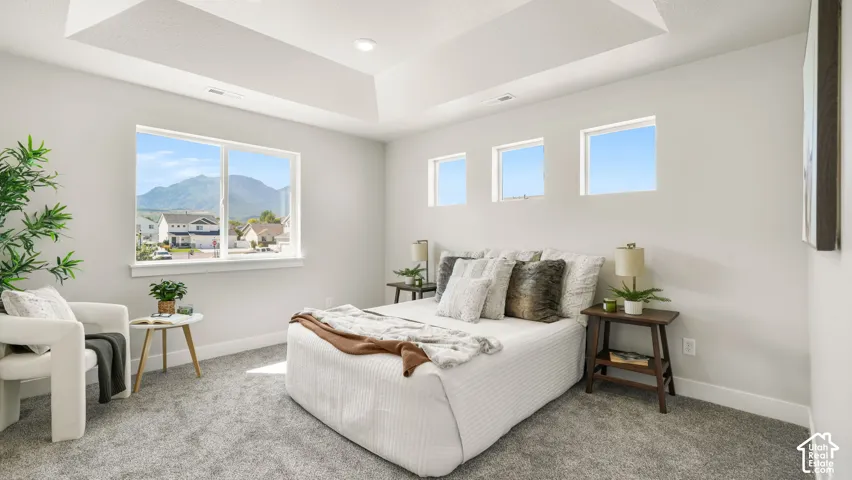 Tray ceiling with recessed lighting, multiple windows offering natural light, and plush carpeting throughout