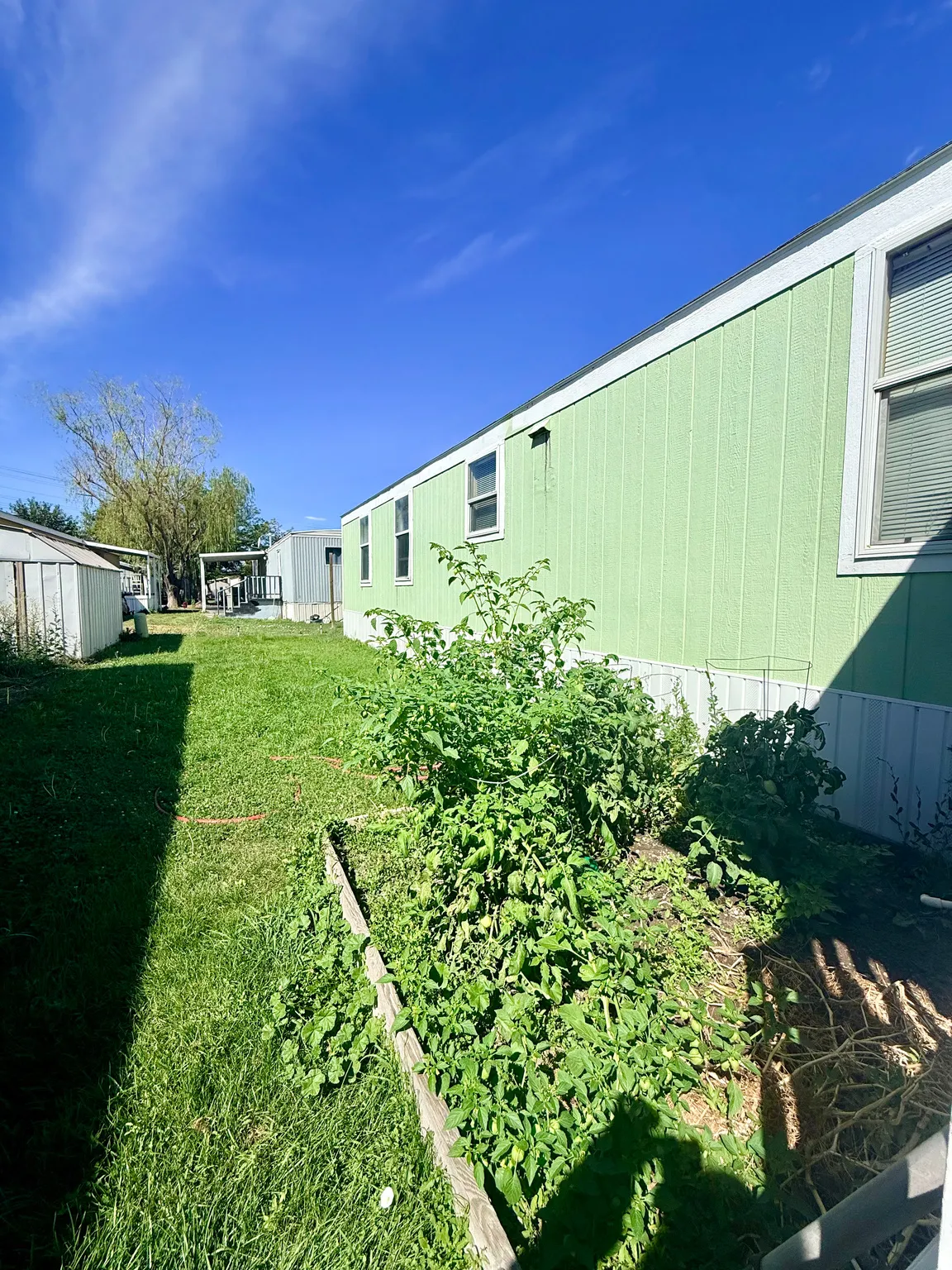 Light green exterior siding with multiple windows