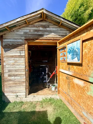 Wood-sided shed with a corrugated metal roof and an exposed rafter system