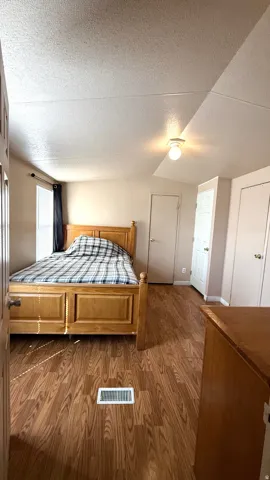 Wood-finish flooring throughout, bright ceiling-mounted light fixture, and two built-in closet doors. Master Bedroom