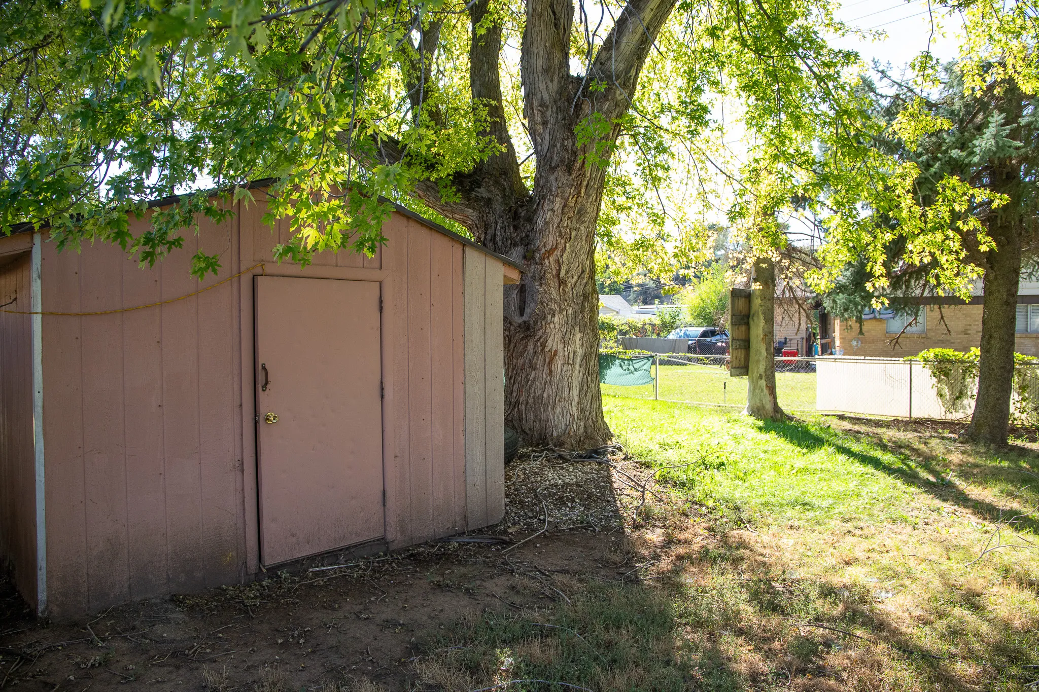 Storage shed with a single entry door and an angled roofline, surrounded by mature trees and a grassy area