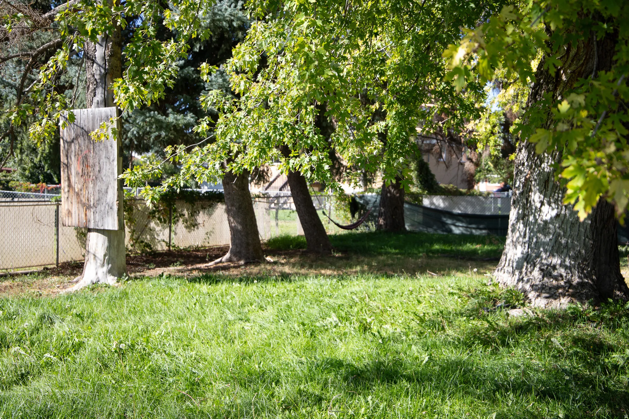 Expansive outdoor area featuring mature trees and a chain-link fence