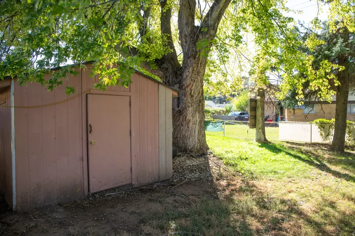 Storage shed with a single entry door and an angled roofline, surrounded by mature trees and a grassy area