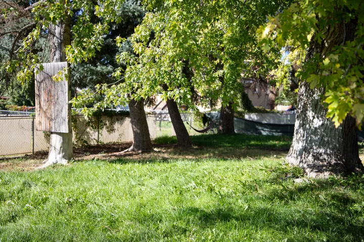 Expansive outdoor area featuring mature trees and a chain-link fence