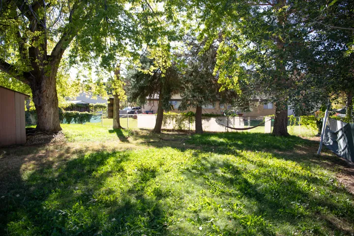 Expansive backyard featuring a large mature tree, a metal storage shed, and a chain-link fence