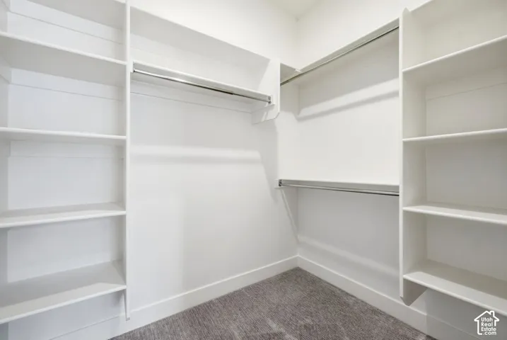 Built-in closet shelving, dual chrome hanging rods, and light-colored carpeting