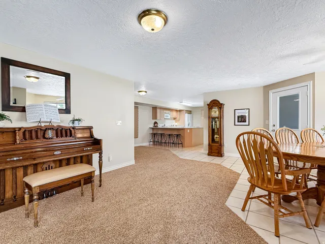 Carpeted living area with overhead lighting, a kitchen with wood-finish cabinetry and a breakfast bar, and a dining area with tile flooring and a glass-paneled exterior door