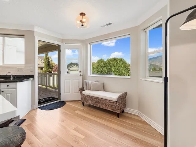 Hardwood-style flooring, ample natural light from multiple windows, a rear exterior door, a kitchen counter with a dark countertop, and a built-in ceiling light fixture
