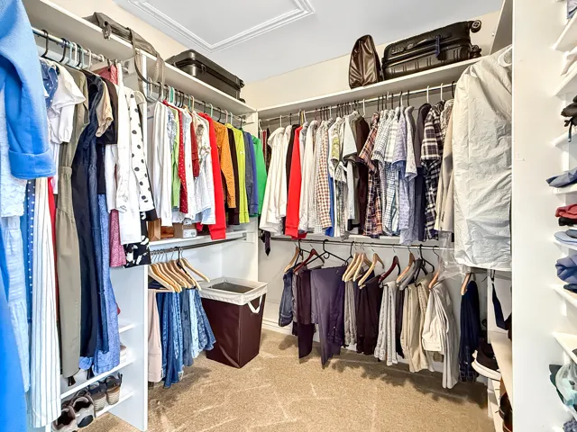 Wall-to-wall carpeting with multiple clothing rods, integrated shelving, and a tray ceiling