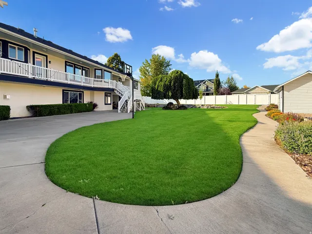 Expansive lawn with a mature weeping willow tree, concrete driveway, and concrete pathway