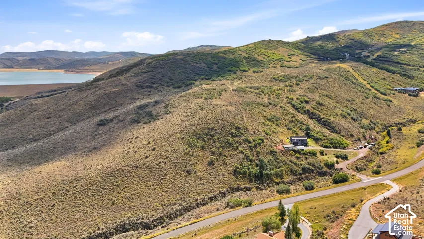 Expansive sloped terrain with natural vegetation, winding paved road, and distant body of water under a clear sky
