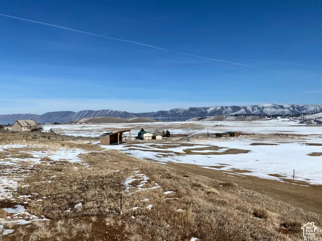 Expansive terrain featuring natural grasses and distant mountain formations