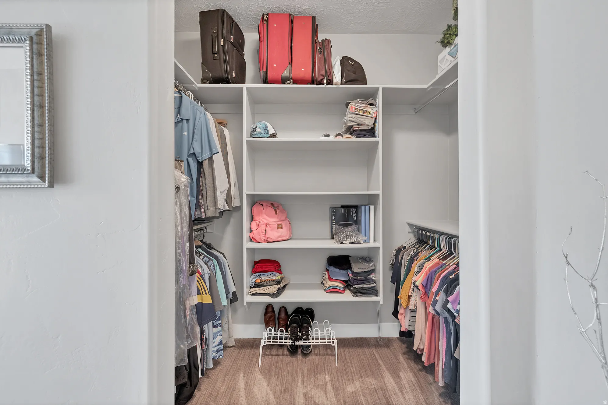 Walk-in closet featuring white built-in shelving, clothing rods, and wood-finish flooring