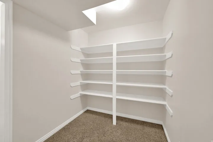 Built-in shelving with multiple storage levels, neutral wall finishes, and carpeting