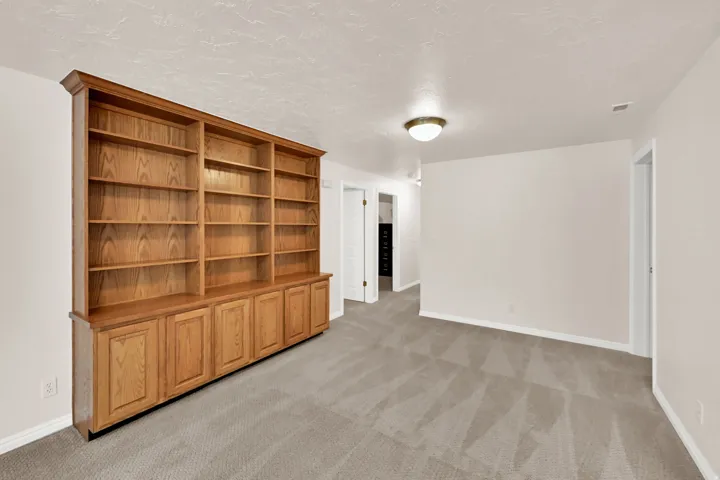 Built-in wood cabinetry with integrated shelving, light-toned carpeting, white walls, and a flush mount light fixture