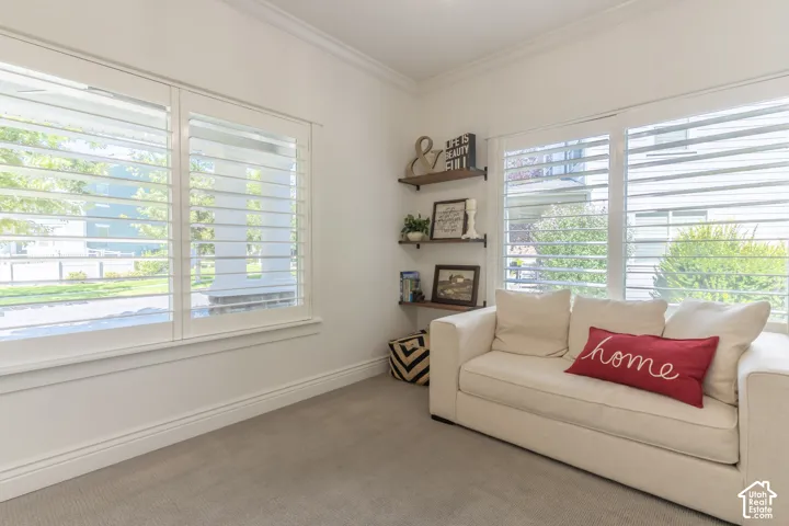 Plantation shutters throughout