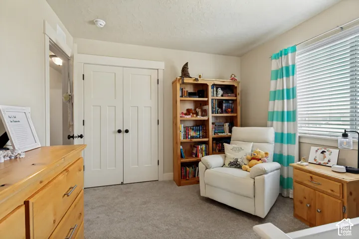 Bedroom. Built-in double closet doors with black hardware, window with blinds, and light-toned carpet flooring