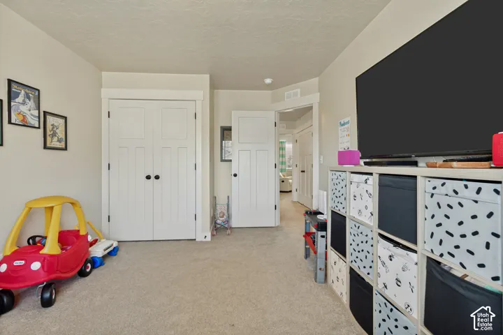Bedroom. Neutral wall color, window with horizontal blinds, overhead ceiling light fixture, and carpeted flooring