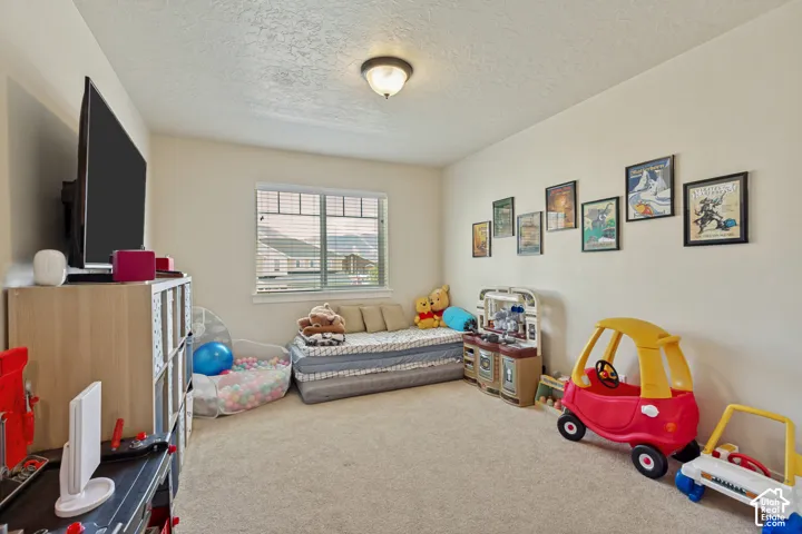 Bedroom. Neutral wall color, window with horizontal blinds, overhead ceiling light fixture, and carpeted flooring