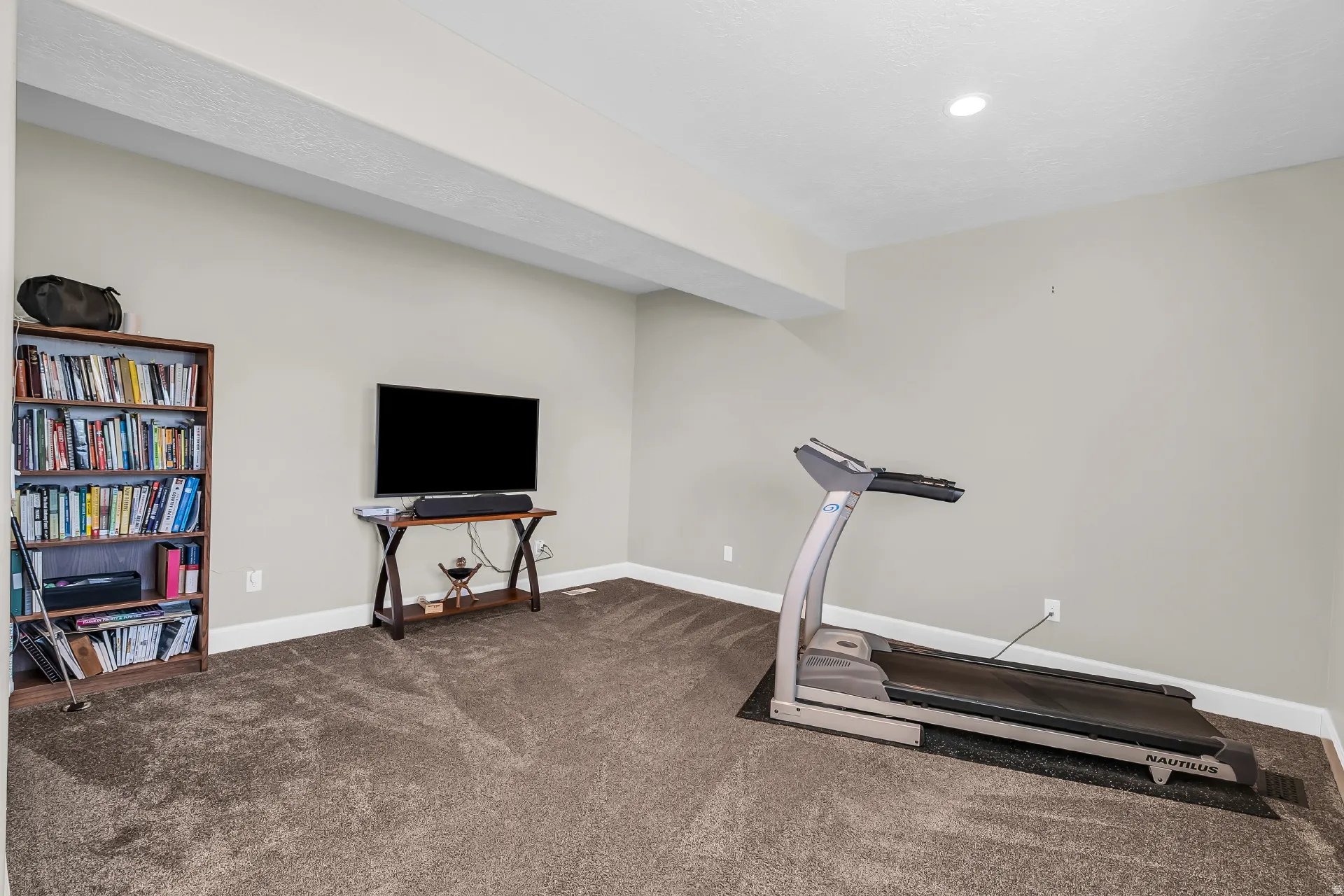 Lower level living room with walkout to backyard