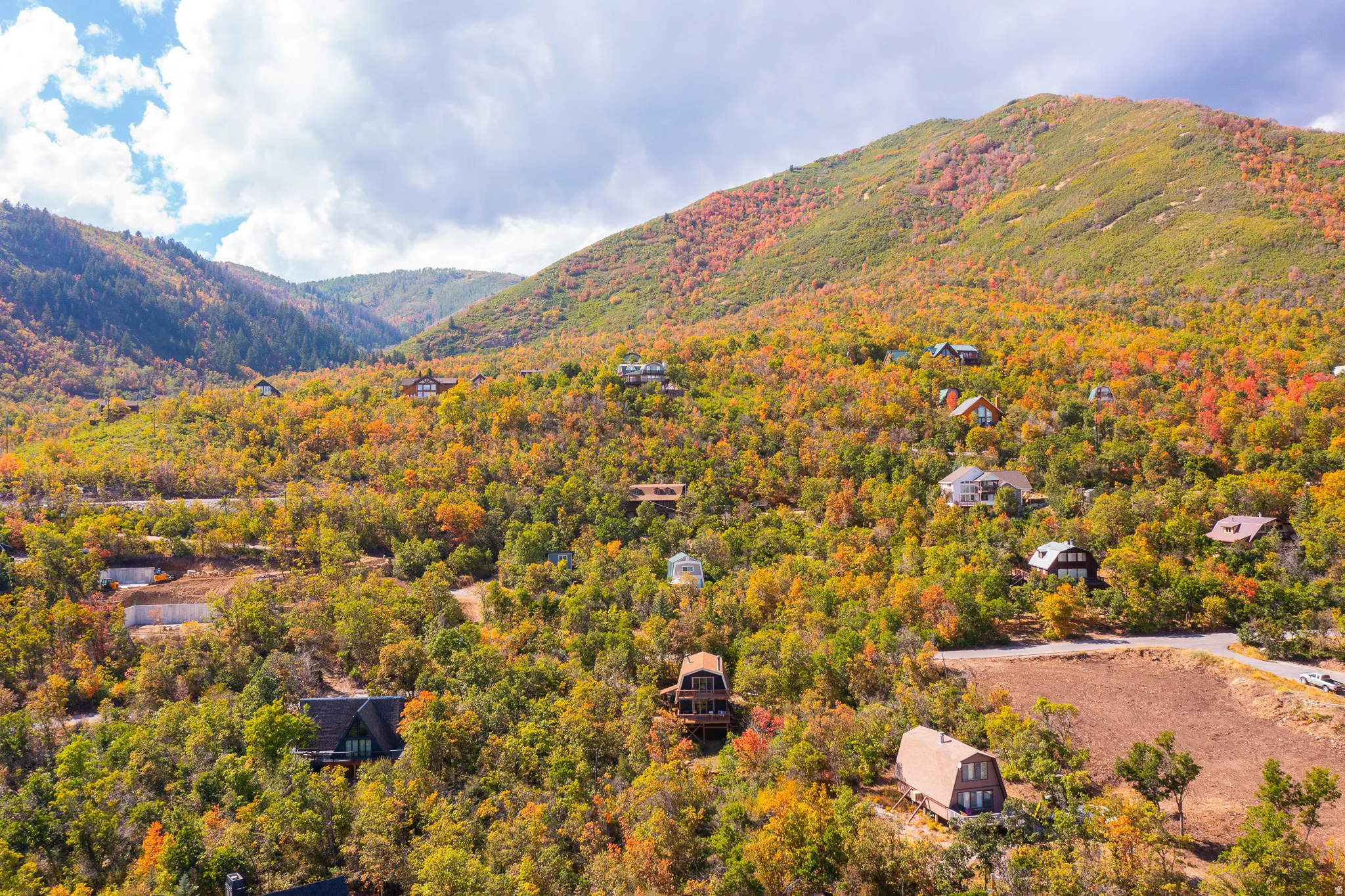 Mountainous terrain featuring diverse foliage