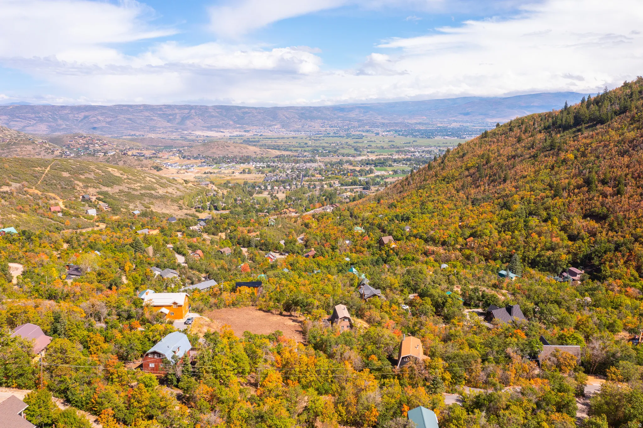 Mountainous terrain with lush, varied foliage