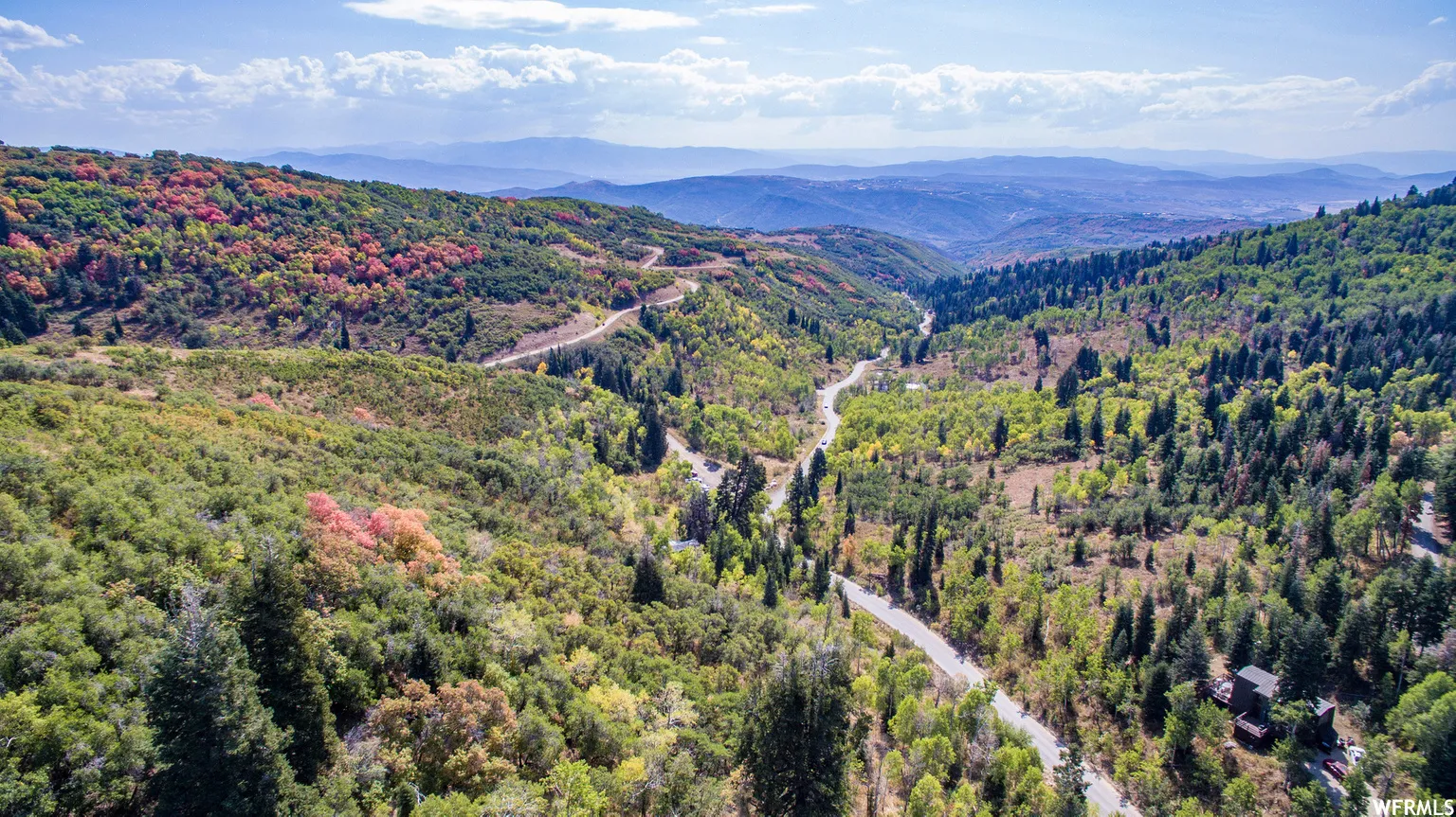 Mountainous landscape with varied foliage and winding roads
