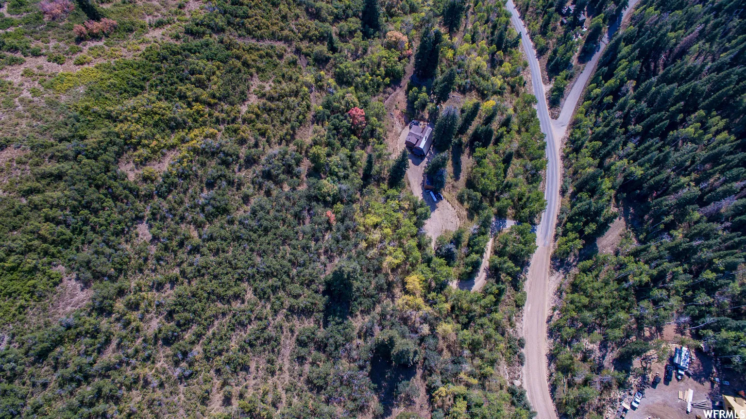 Winding road surrounded by dense forest