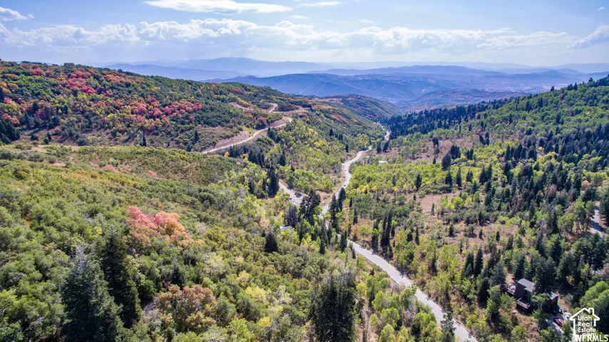 Mountainous landscape with varied foliage and winding roads